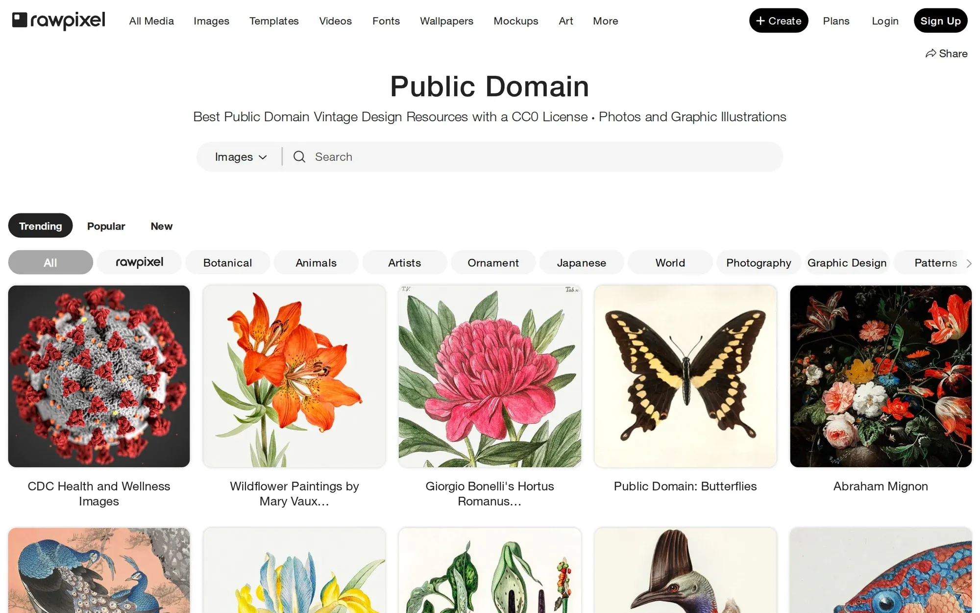 Rawpixel public domain in October 2026: vintage botanical and butterfly plates in the public domain collection