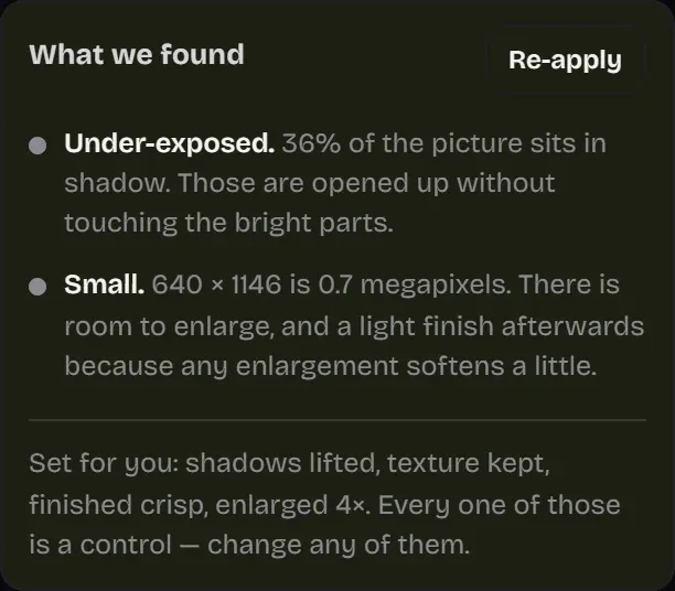 The What we found panel in Upscaler Lab saying the photo is dark in the shadows and small, and listing the settings it chose