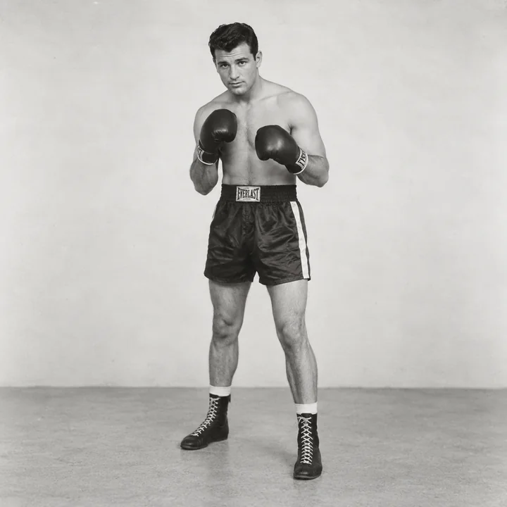 Boxer, the original photo