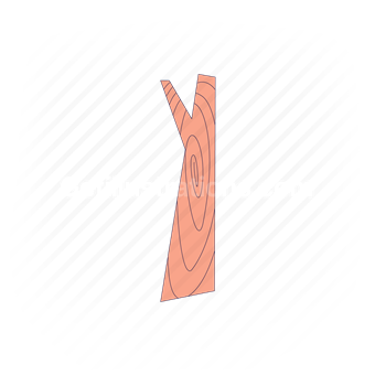tree, bark, wood, wooden, tree bark